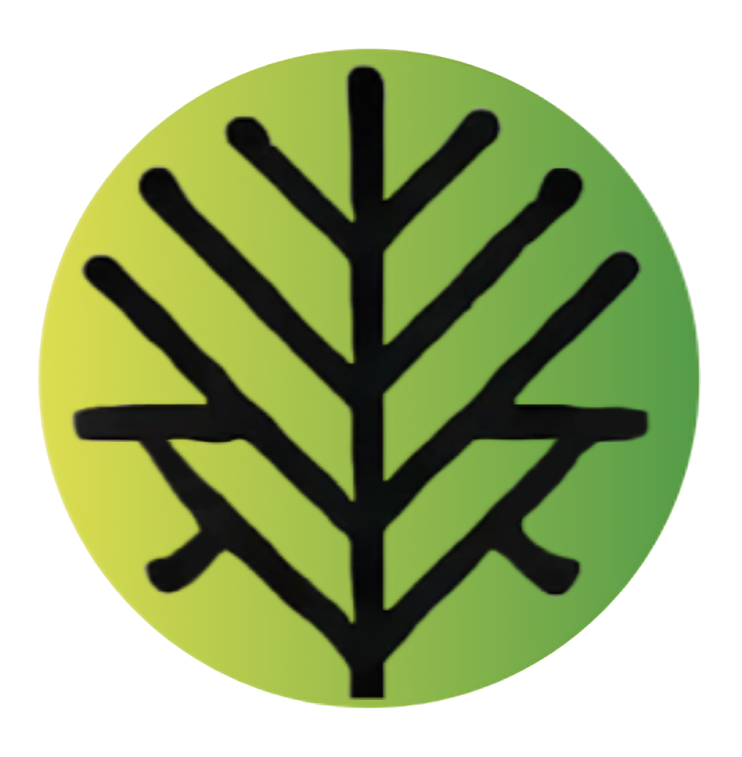 Top Limb Media Logo